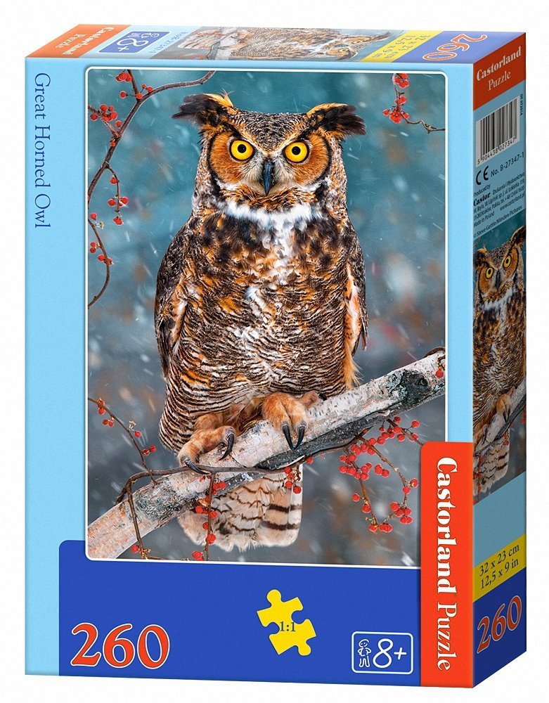 Castorland Puzzle Diplodocus – 260 Teile, Größe 32x23 Cm, Für Kinder Ab 8 Jahren