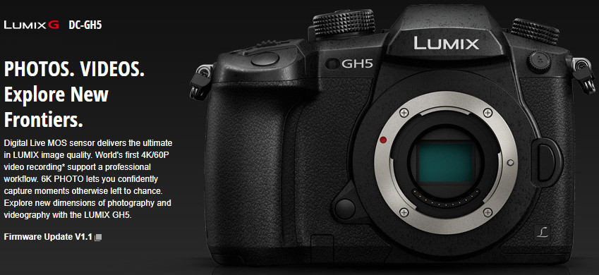 lumix gh5x