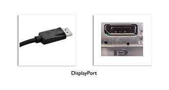 DisplayPort connection for maximum visuals